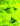 Medium Bright Green "Heart Hands" Gnome Figure